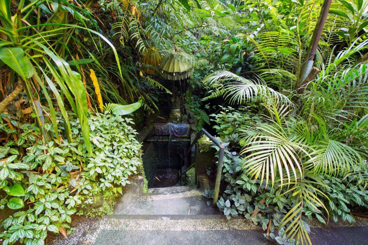 The Pari Sudha Hotel Ubud (Bali)